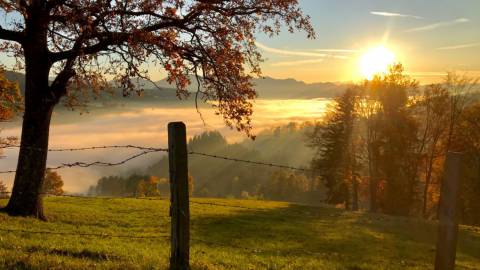 Auf der Suche nach Sonne und Weitblick