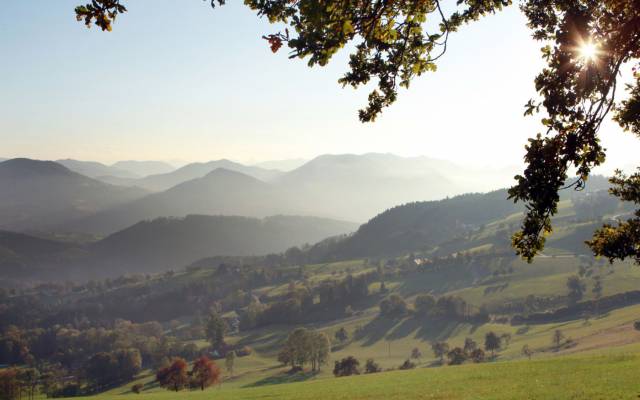 7 eindrucksvolle Rundwanderwege im Mostviertel