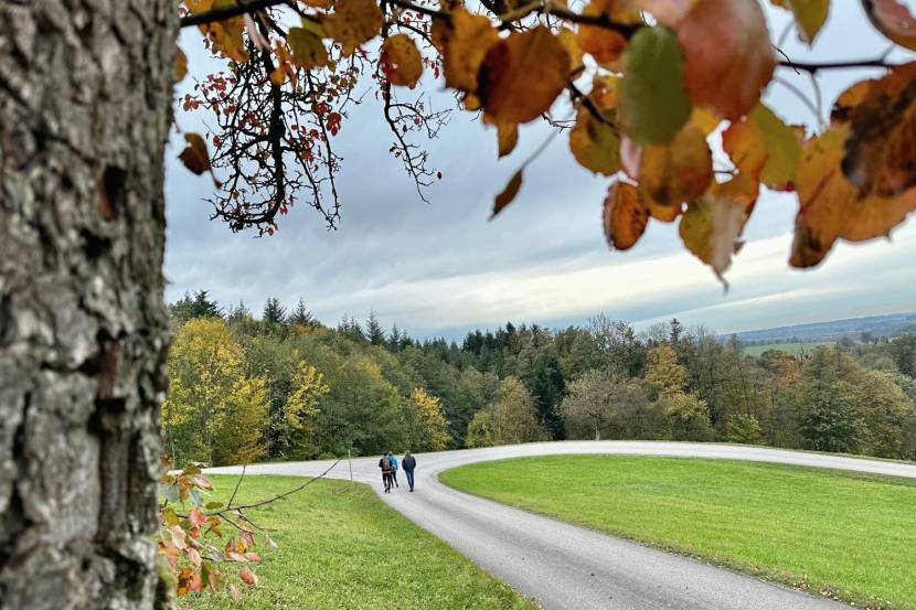 Kothmühlenweg in Neuhofen an der Ybbs im Mostviertel