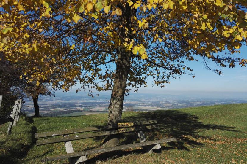 Hochkogel-Panoramarundweg mit Ausblick aufs Mostviertel