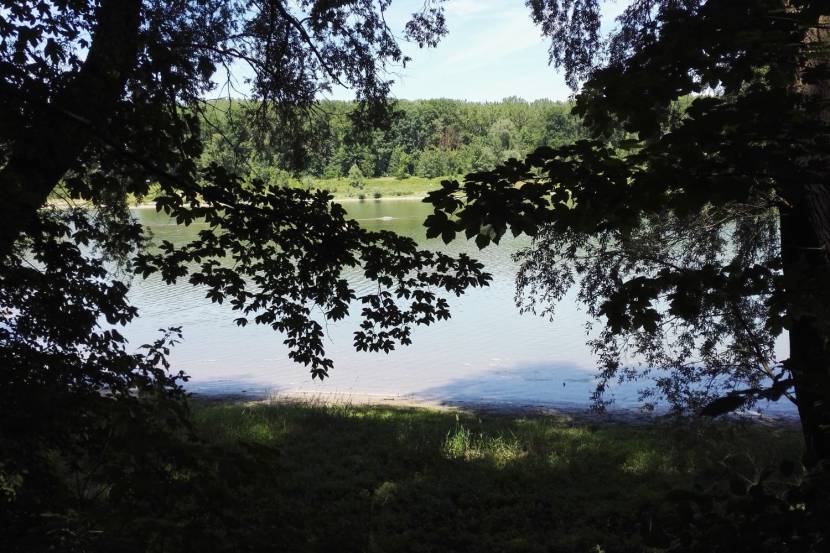 Altarm Wanderweg in Wallsee