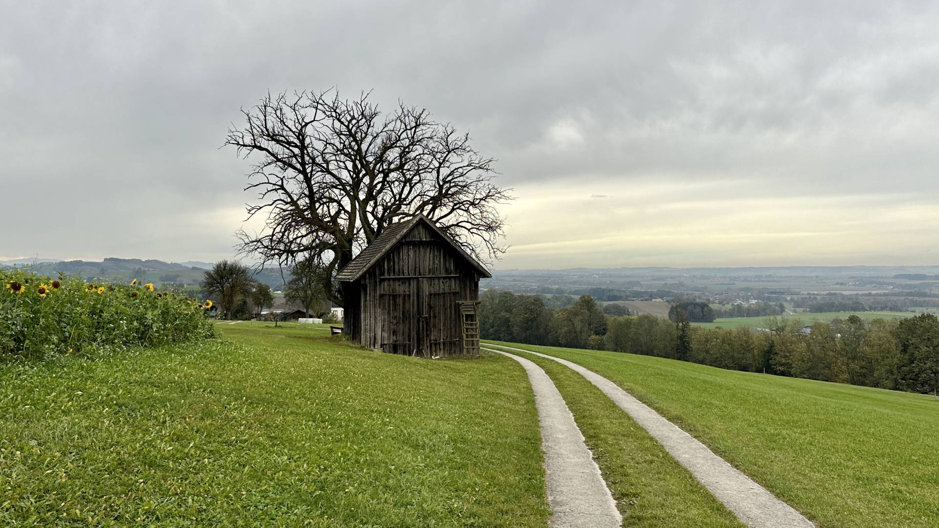 Kothmühlen Wanderweg